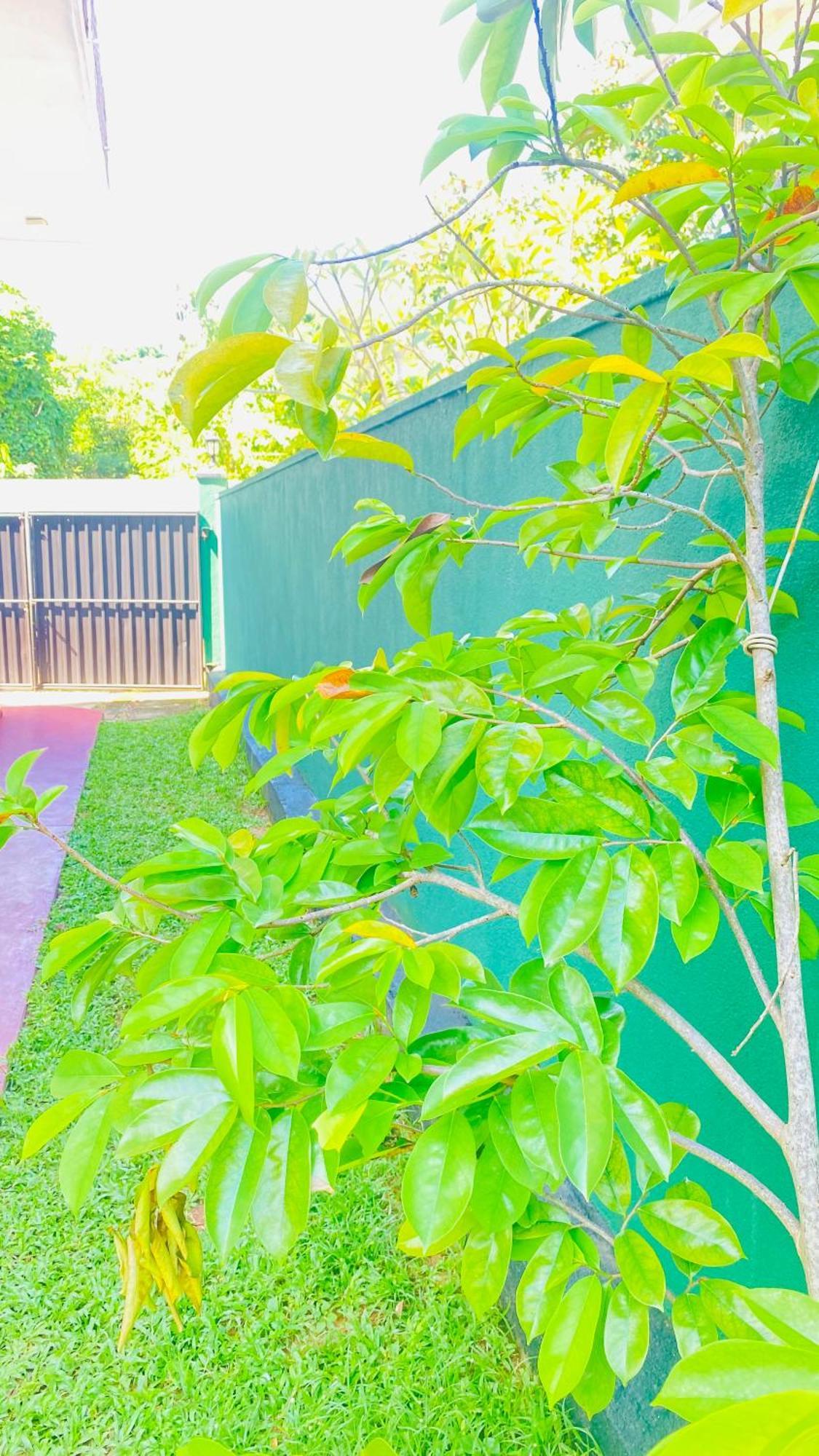 בנטוטה Sanasuma Villa מראה חיצוני תמונה